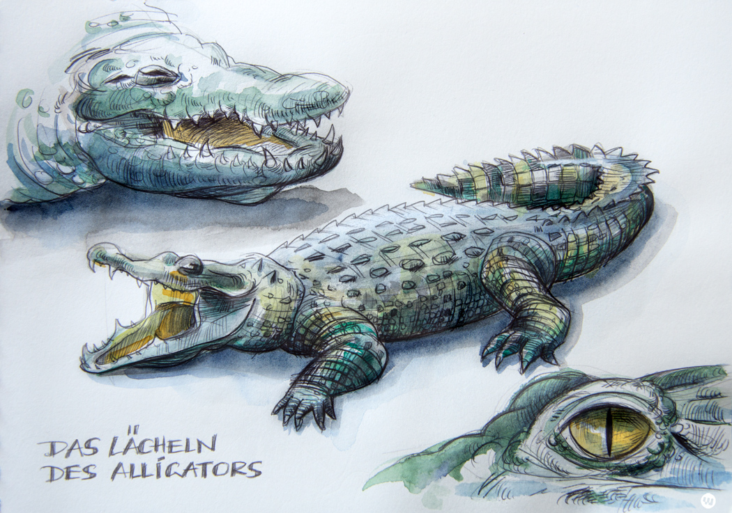 alligator-smile