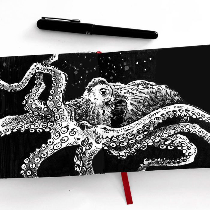 octopus-kl